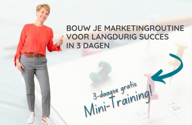 3-daagse Mini-Training marketingroutine Optimazing